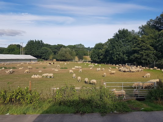 Craven Arms