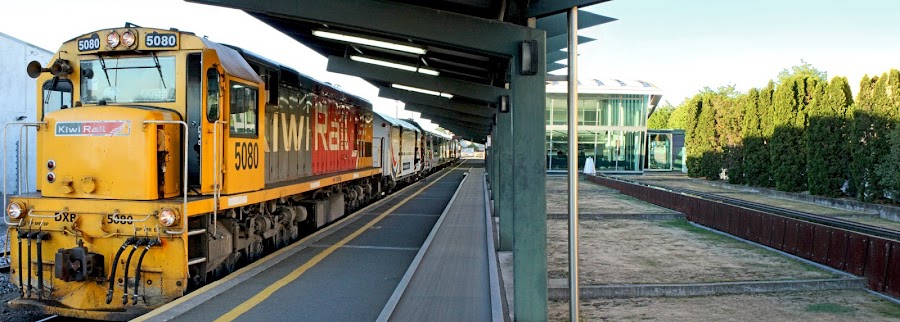 TranzAlpine Scenic Rail Experience