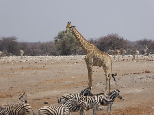 Chudop Waterhole