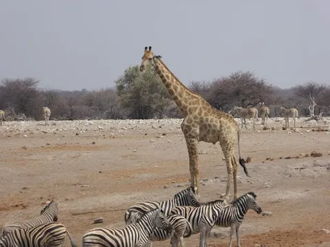 Chudop Waterhole — Scenic Viewpoint — Etosha Pan Circuit — Namibia