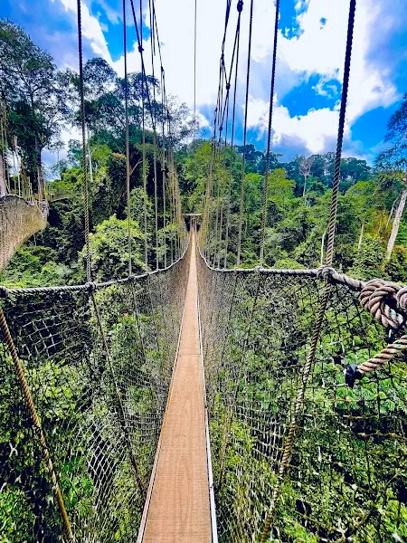 Kakum National Park — Arrival — Ghana Cape Coast Heritage Route — Ghana