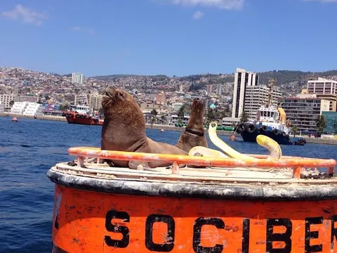 Valparaíso — City — Santiago to San Pedro de Atacama — Chile