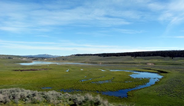 Hayden Valley