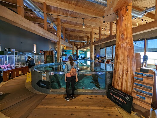 Ucluelet Aquarium