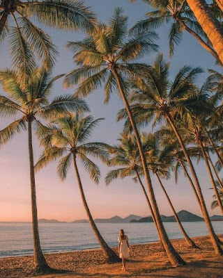 Palm Cove