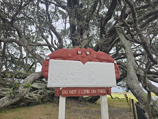 Te Waha o Rerekohu