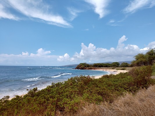 Waimea Town