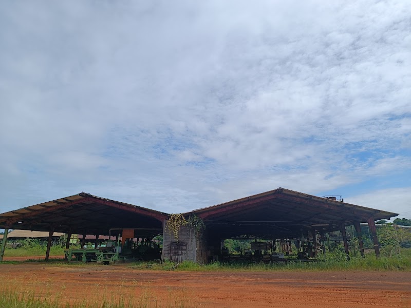 Mabura Hill — Landmark — Guyana Interior Road — Guyana