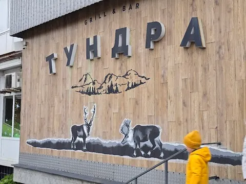 Tundra — Northern Russian — Arctic Highway — Russia