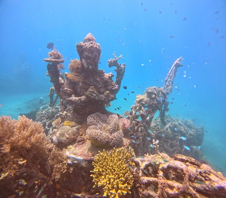 Biorock Reef Pemuteran
