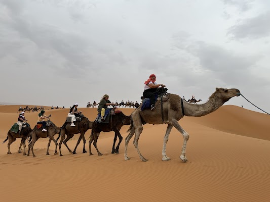 Camel Trekking in Merzouga