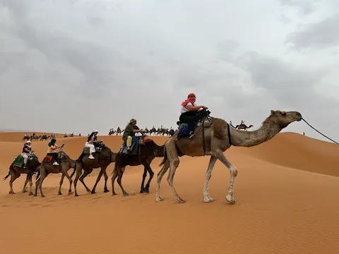 Camel Trekking in Merzouga — Outdoor Activity — Across the High Atlas — Morocco