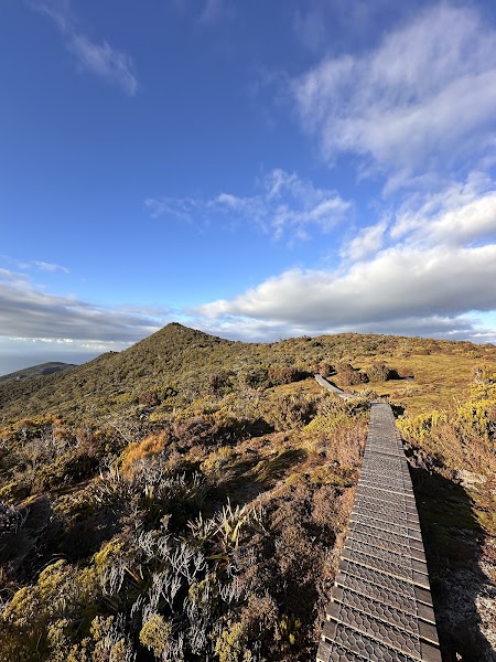 Tuatapere Hump Ridge Track Cafe — Cafe — Southern Scenic Route — New Zealand