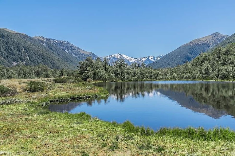 Lewis Pass — Nature — The Two Passes — New Zealand