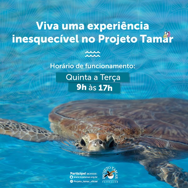 Projeto Tamar Ubatuba — Conservation visit — Angra dos Reis to Santos: Costa Verde — Brazil
