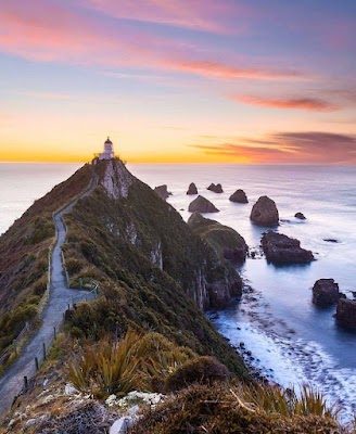 Nugget Point