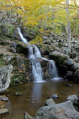 Dark Hollow Falls Trail