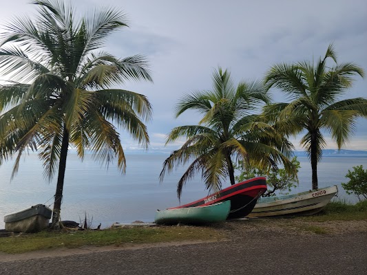 Punta Gorda