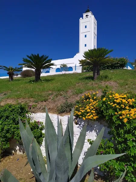Sidi Bou Said — City — Tunis to Douz: Medinas to Sahara — Tunisia