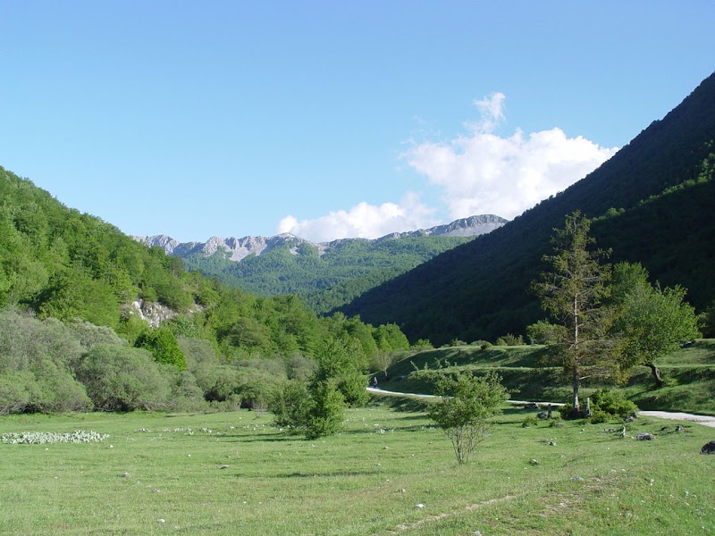 Pescasseroli visitor centre or short Val Fondillo walk — Park orientation — Abruzzo Highlands — Italy