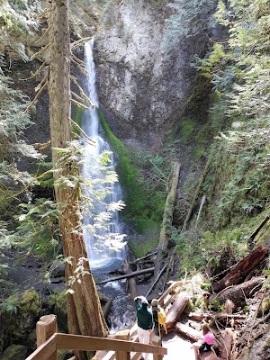 Marymere Falls Trail