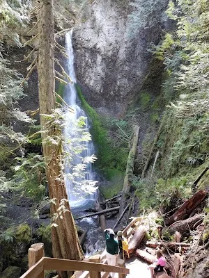 Marymere Falls Trail — hiking — Seattle–Olympic Peninsula Circuit — United States