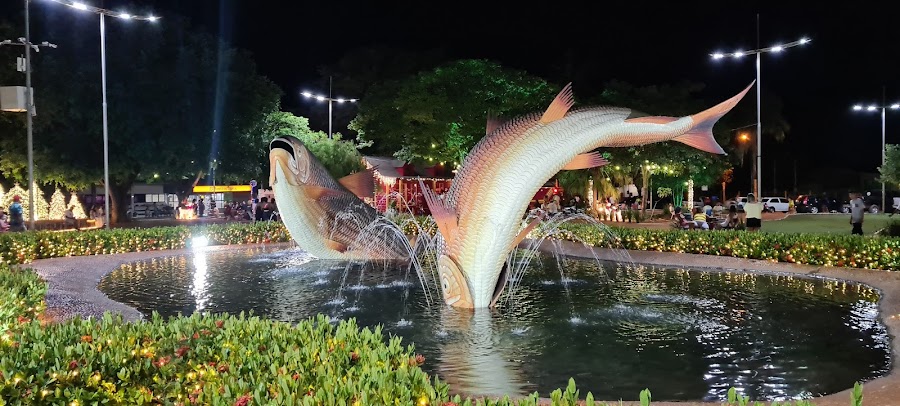Bonito