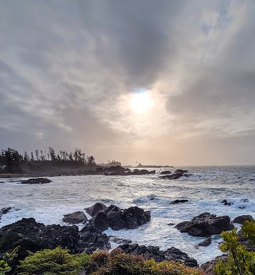 Wild Pacific Trail