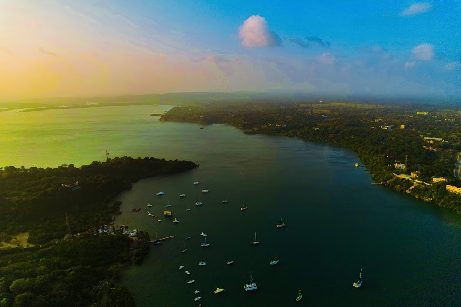 Kilifi Creek — Nature — Mombasa to Lamu Coast Road — Kenya