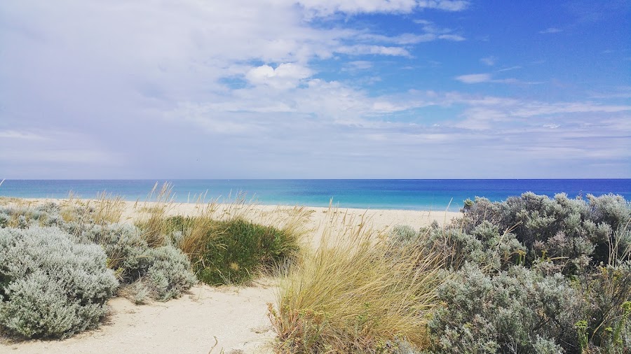 Mandurah — City — South West Wine, Coast and Seasonal Whales — Australia