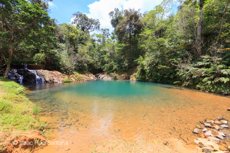 Carite State Forest — Nature — Ruta Panorámica Puerto Rico — Puerto Rico