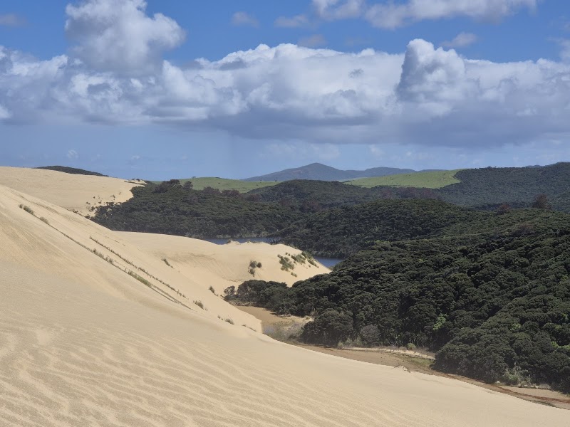 Te Paki Giant Sand Dunes — Dune walk or guided activity — Northland Pacific Coast Highway — New Zealand