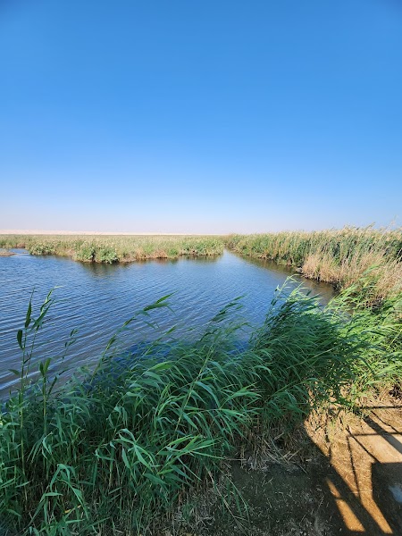Jahra Nature Reserve