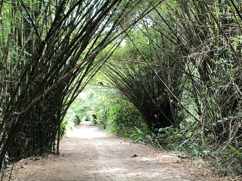 Peperpot Nature Park