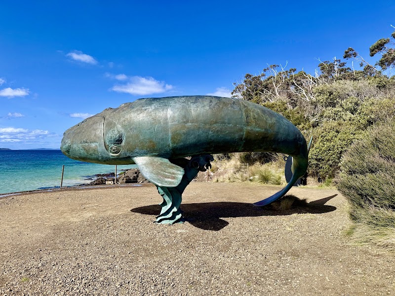 Cockle Creek foreshore and Whale Sculpture — Remote coastal walk — Cockle Creek, Tasmania — Australia