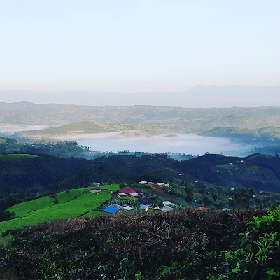 Nyamasheke