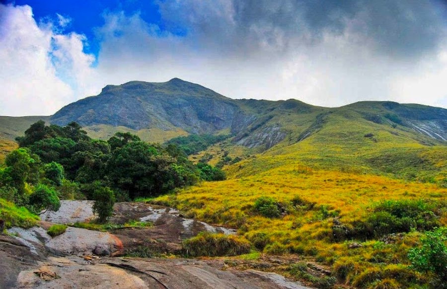 Eravikulam National Park — National park — Kerala Coast and Western Ghats — India