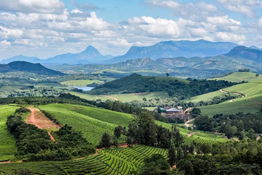 Honde Valley — Nature — Eastern Highlands of Zimbabwe — Zimbabwe