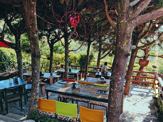Café Albania Tubing and Picnic
