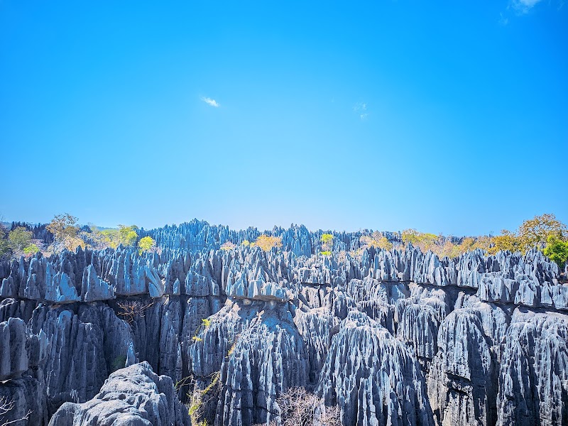 Tsingy de Bemaraha Grand Tsingy — landscape viewpoint — Northern Madagascar and Tsingy de Bemaraha — Madagascar