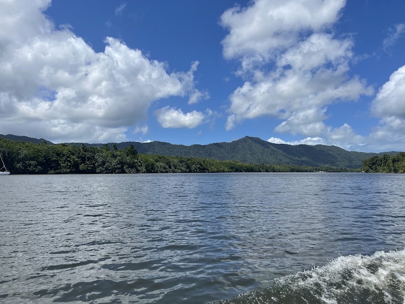 Daintree Ferry and Cape Tribulation — Rainforest coast drive — Captain Cook Highway and Daintree Coast — Australia
