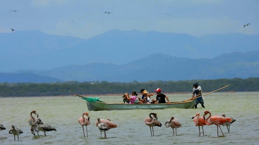 Community-led Los Flamencos visit — Wildlife / cultural visit — Colombia Caribbean Coast — Colombia