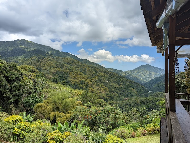 Blue Mountain Peak Trailhead — Nature — Blue Mountains and North Coast Jamaica — Jamaica