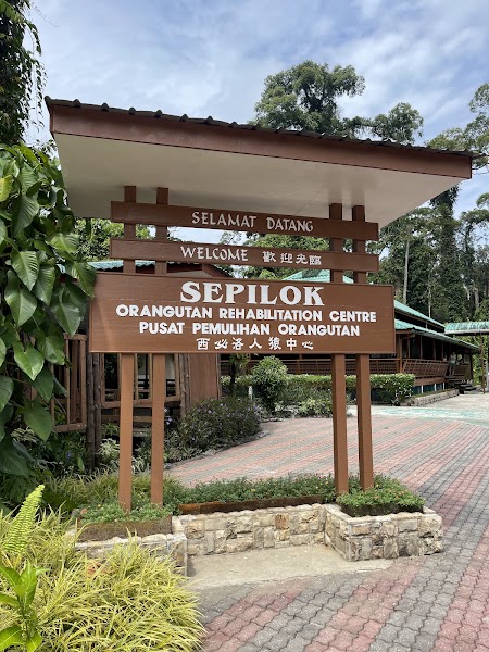 Sepilok rehabilitation centres — Wildlife conservation — Borneo Sabah Loop — Malaysia