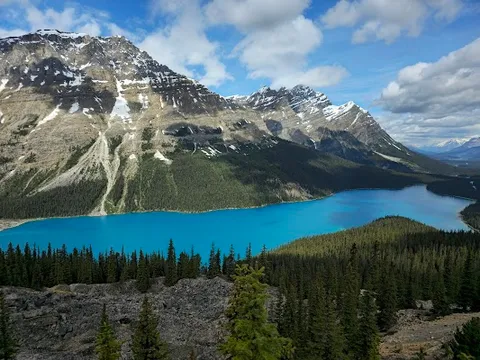 Peyto Lake Viewpoint — Nature — Icefields Parkway — Canada