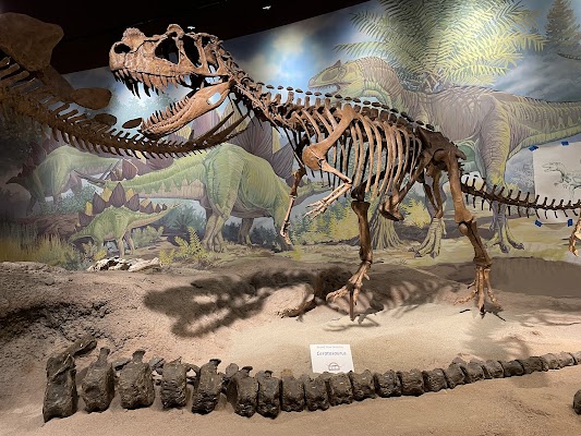Utah Field House of Natural History State Park Museum