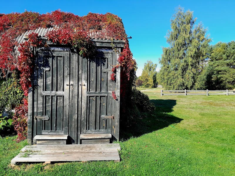 Ūši — Livonian and Latvian — Baltic Capitals and Coast — Estonia