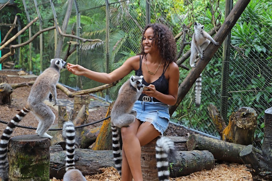 La Vanille Nature Park — Wildlife Park — B9 Road, Mauritius — Mauritius