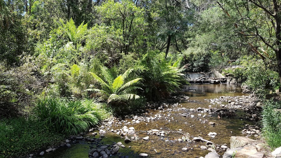 Healesville Sanctuary — Wildlife sanctuary — The Black Spur — Australia