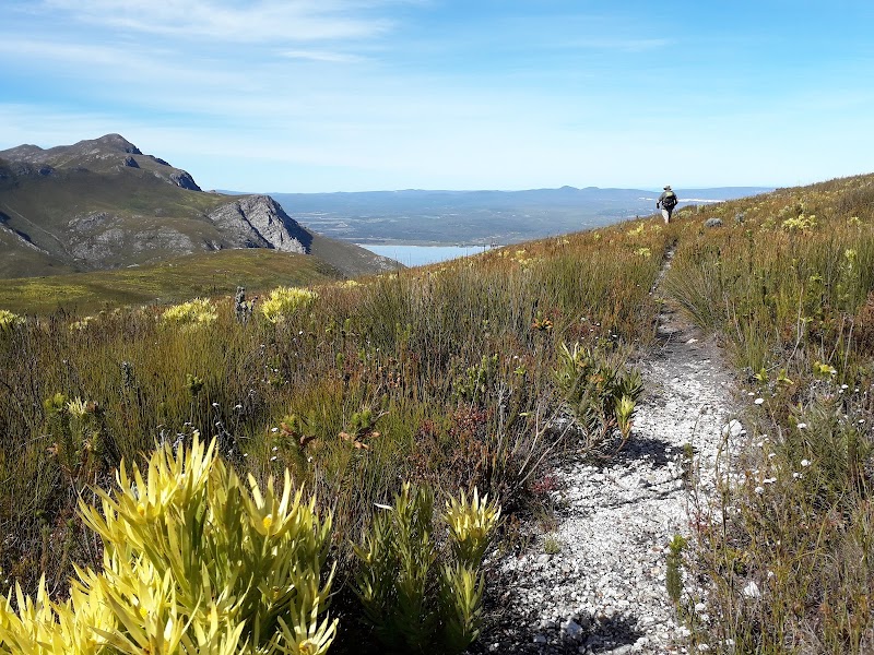 Fernkloof Nature Reserve